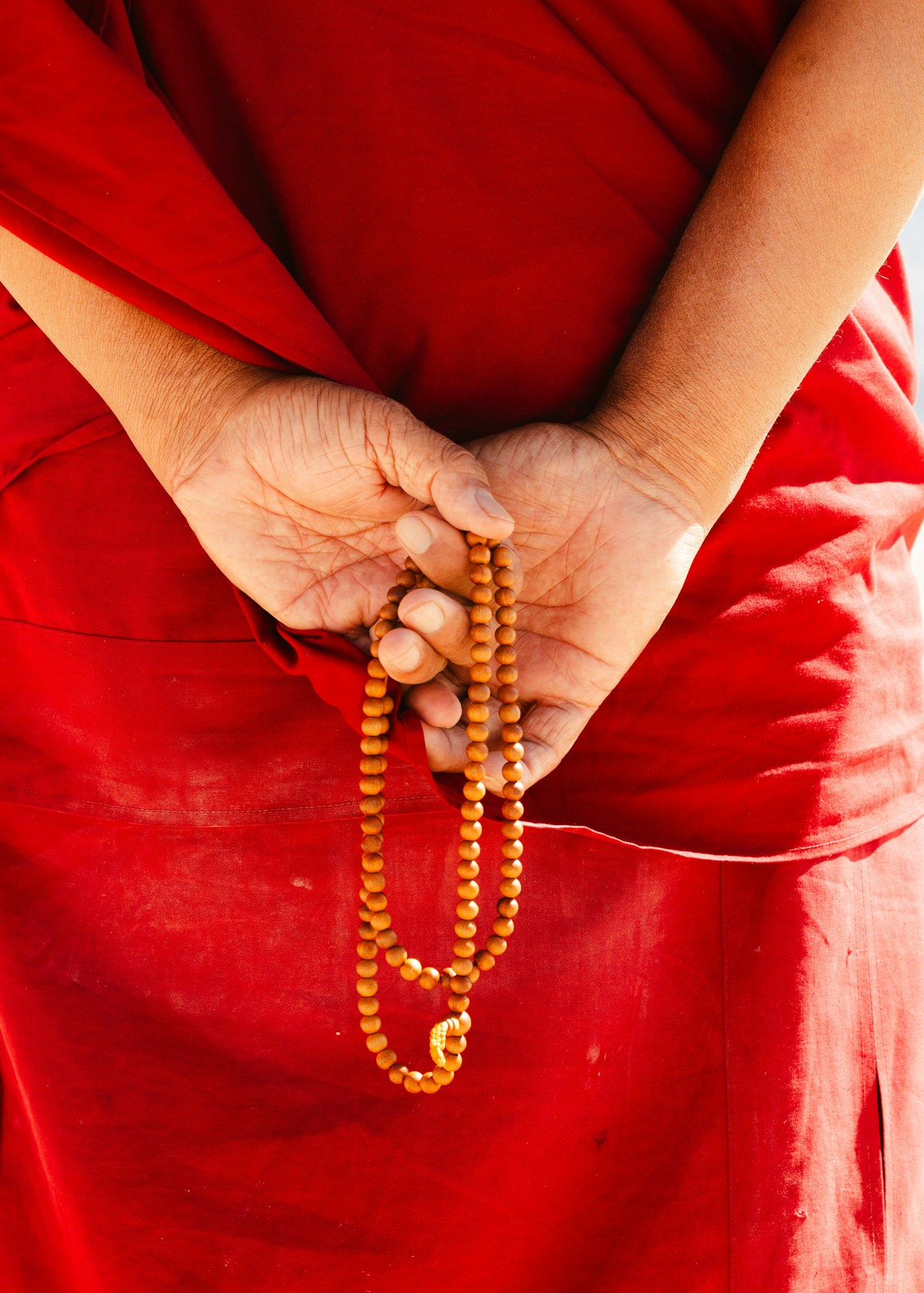 A Ladakhi monk